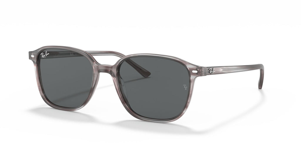 RB 2193 Ray-Ban Leonard Striped Grey /  Dark Grey 55 55 / Crystal / Plastic