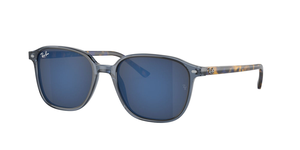 Ray-Ban Leonard 0RB2193 6638O4 51 Transparent Dark Blue/ Grey/Blue 51 / Crystal / Acetate / Acetate
