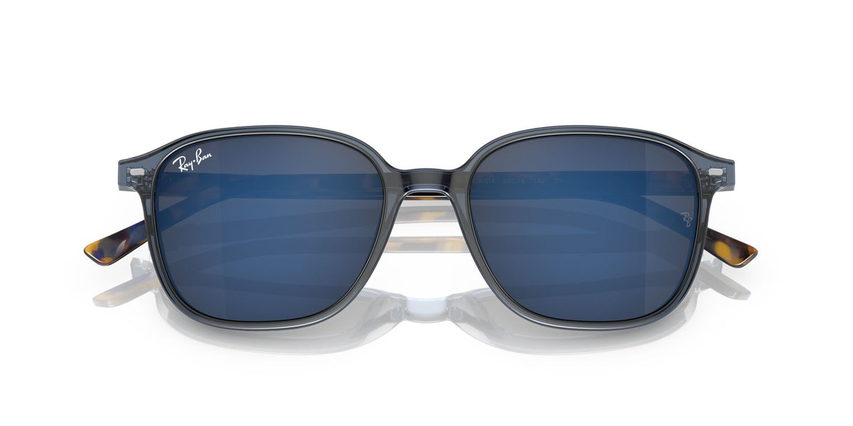 Ray-Ban Leonard 0RB2193 6638O4 51 Transparent Dark Blue/ Grey/Blue 51 / Crystal / Acetate / Acetate