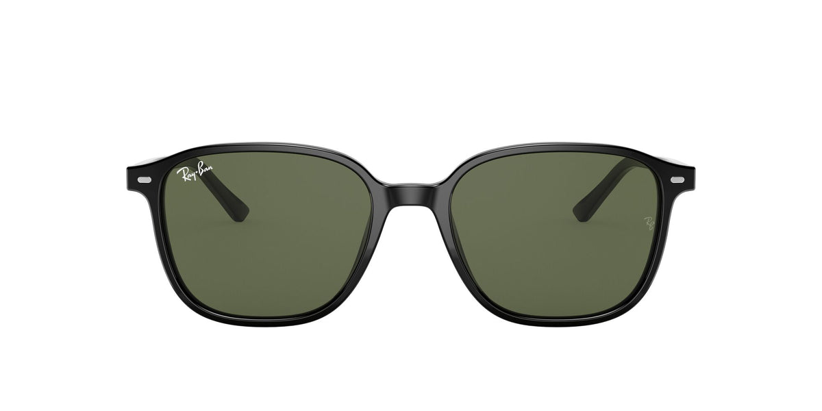 Ray-Ban Leonard 0RB2193 901/31 51 Black/ Green