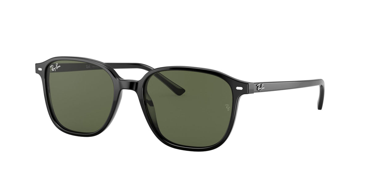 Ray-Ban Leonard 0RB2193 901/31 55 Black/ Green