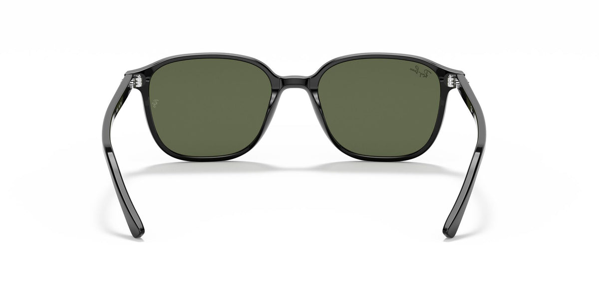 Ray-Ban Leonard 0RB2193 901/31 51 Black/ Green