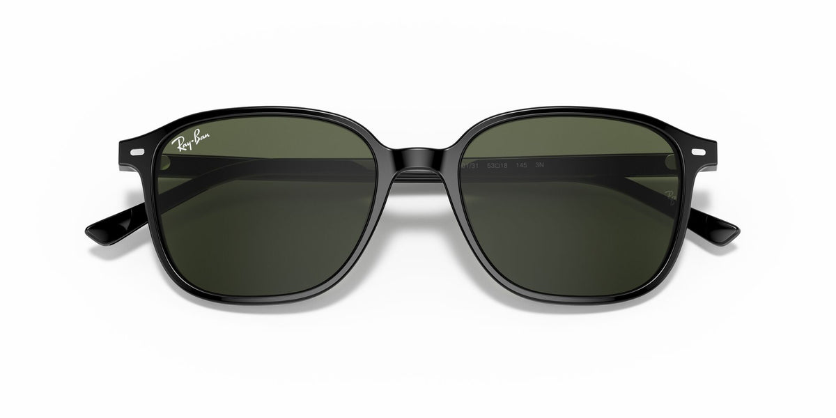 Ray-Ban Leonard 0RB2193 901/31 51 Black/ Green