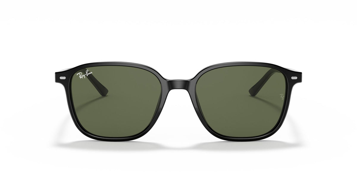 Ray-Ban Leonard 0RB2193 901/31 55 Black/ Green