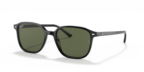 Ray-Ban Leonard 0RB2193 901/31 53 Black/ Green