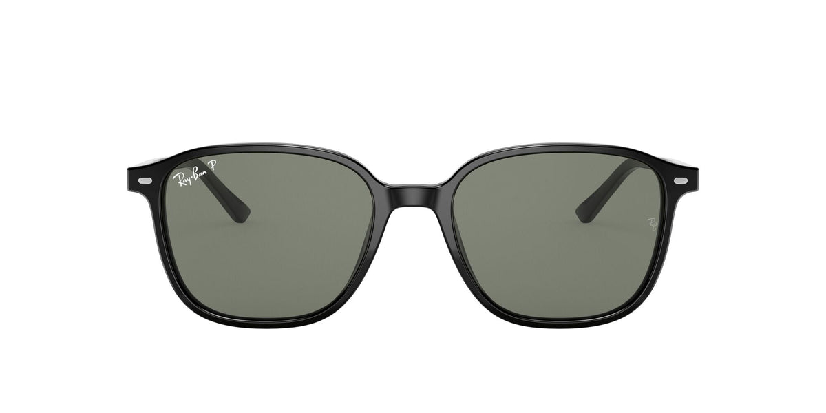 Ray-Ban Leonard 0RB2193 901/58 53 Black/ Green - Blue Star Eyewear