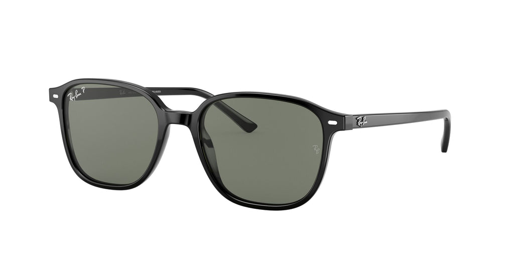 Ray-Ban Leonard 0RB2193 901/58 55 Black/ Green