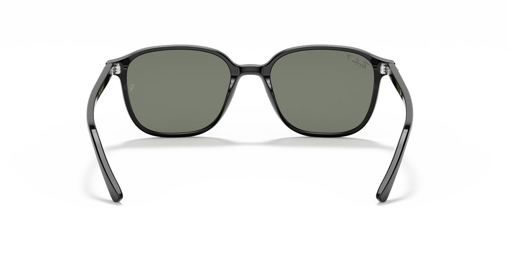 Ray-Ban Leonard 0RB2193 901/58 55 Black/ Green