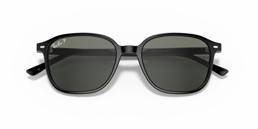 Ray-Ban Leonard 0RB2193 901/58 55 Black/ Green