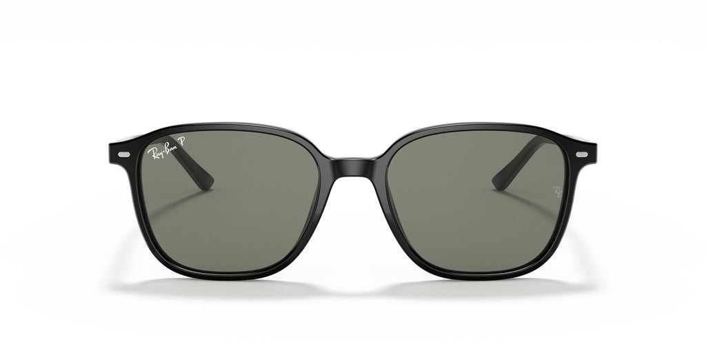 Ray-Ban Leonard 0RB2193 901/58 55 Black/ Green