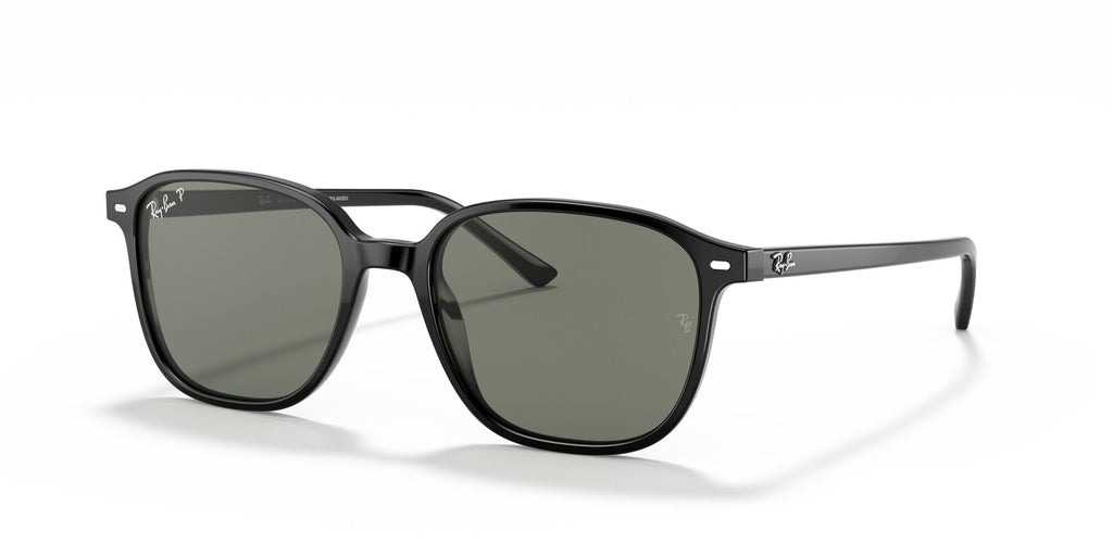 Ray-Ban Leonard 0RB2193 901/58 51 Black/ Green 51 / Crystal / Plastic