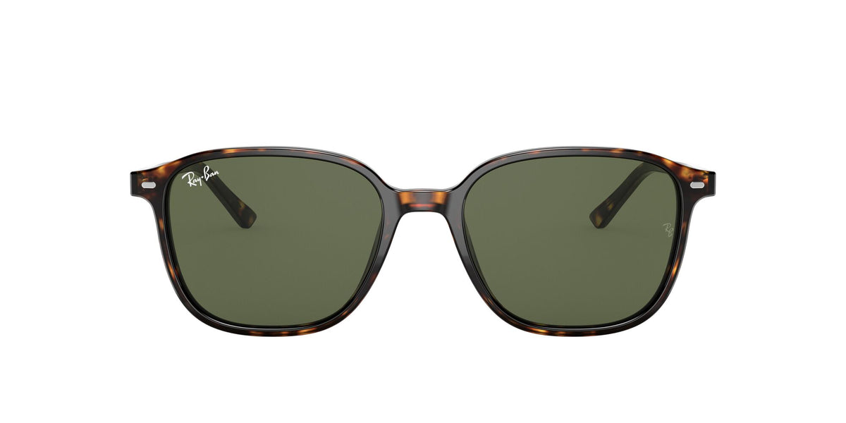 Ray-Ban Leonard 0RB2193 902/31 55 Tortoise/ Green 55 / Crystal / Acetate / Acetate
