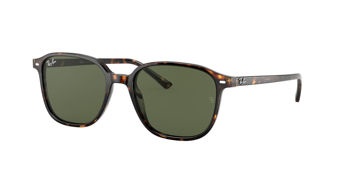 Ray-Ban Leonard 0RB2193 902/31 55 Tortoise/ Green 55 / Crystal / Acetate / Acetate