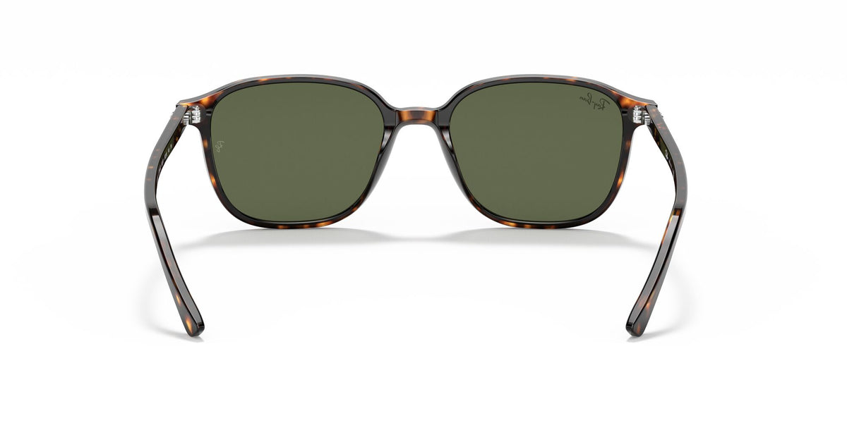 Ray-Ban Leonard 0RB2193 902/31 55 Tortoise/ Green 55 / Crystal / Acetate / Acetate
