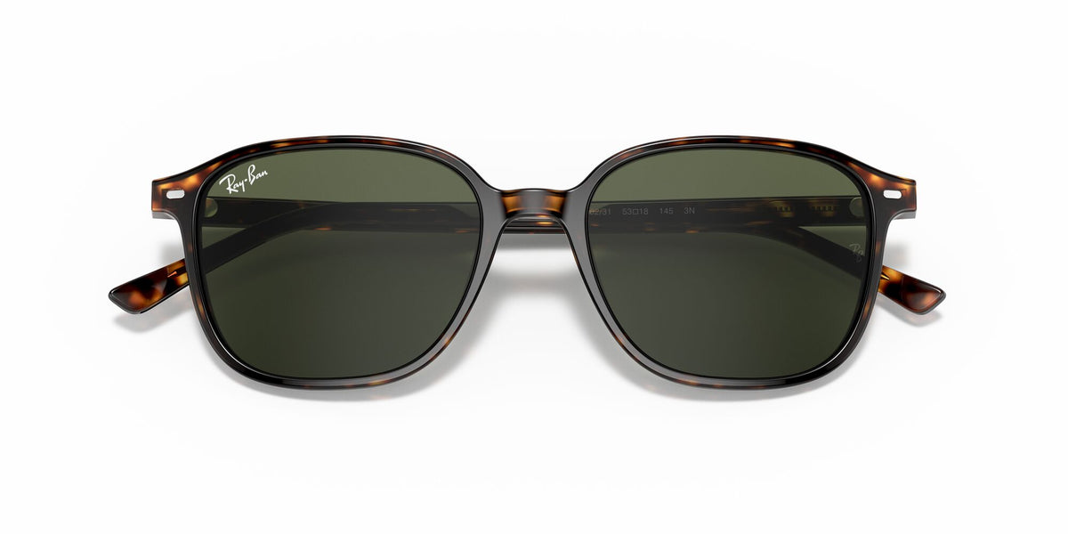 Ray-Ban Leonard 0RB2193 902/31 55 Tortoise/ Green 55 / Crystal / Acetate / Acetate