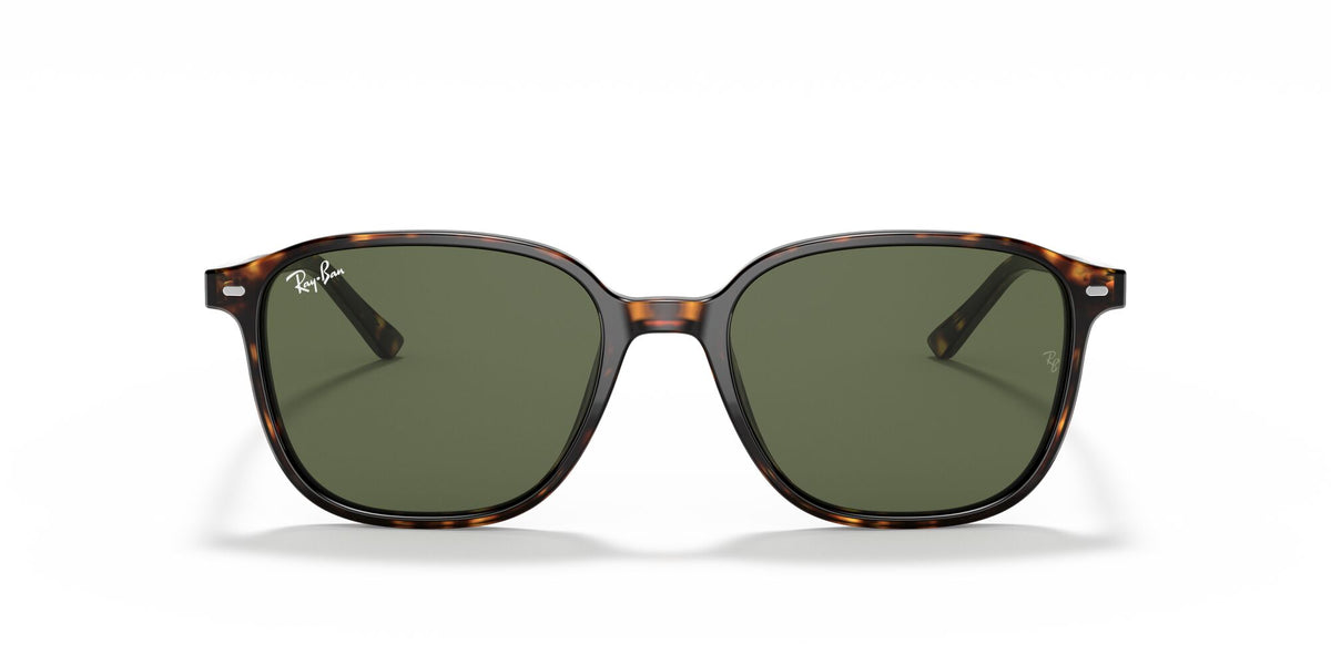 Ray-Ban Leonard 0RB2193 902/31 53 Tortoise/ Green 53 / Crystal / Acetate / Acetate