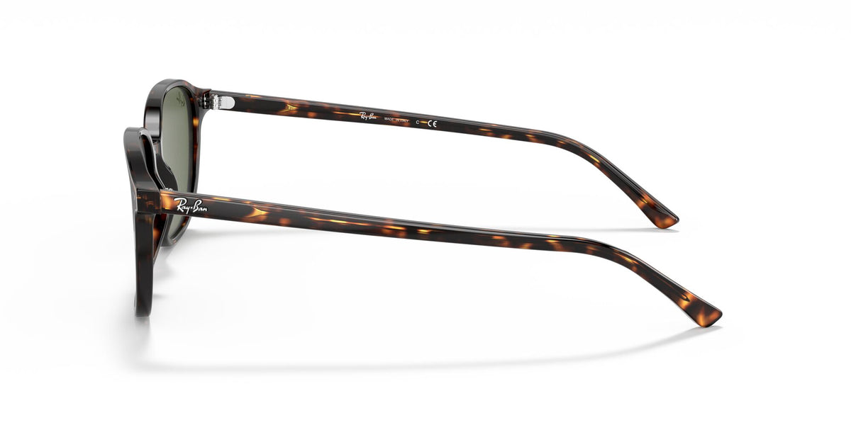 Ray-Ban Leonard 0RB2193 902/31 53 Tortoise/ Green 53 / Crystal / Acetate / Acetate
