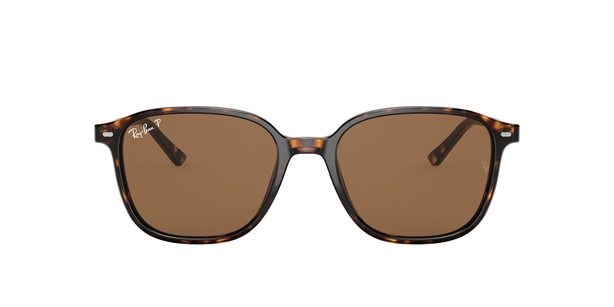 Ray-Ban Leonard 0RB2193 902/57 55 Tortoise/ Brown 55 / Crystal / Acetate / Acetate