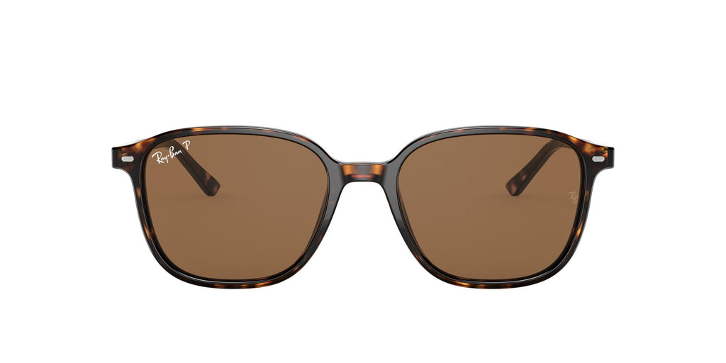 Ray-Ban Leonard 0RB2193 902/57 53 Tortoise/ Brown 53 / Crystal / Acetate / Acetate