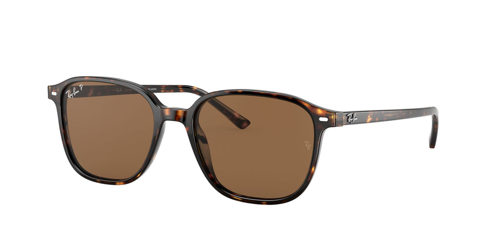Ray-Ban Leonard 0RB2193 902/57 53 Tortoise/ Brown 53 / Crystal / Acetate / Acetate
