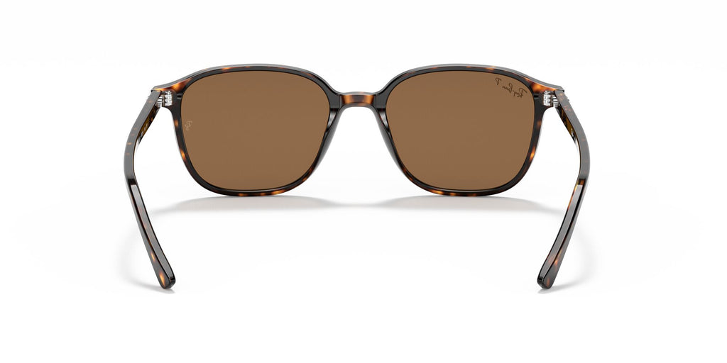 Ray-Ban Leonard 0RB2193 902/57 53 Tortoise/ Brown 53 / Crystal / Acetate / Acetate