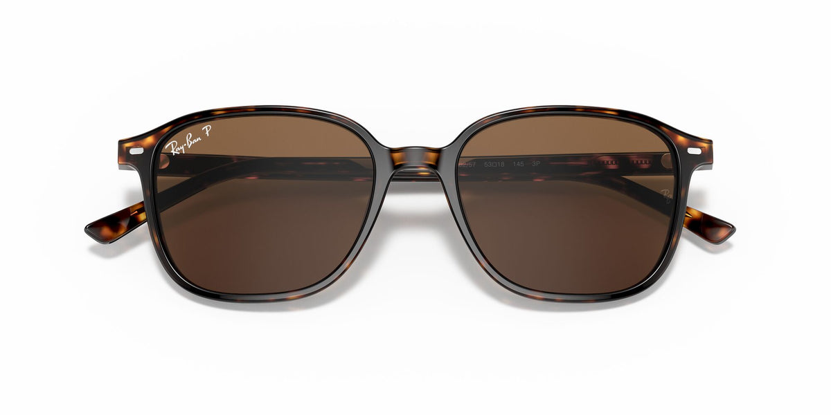 Ray-Ban Leonard 0RB2193 902/57 51 Tortoise/ Brown 51 / Crystal / Acetate / Acetate