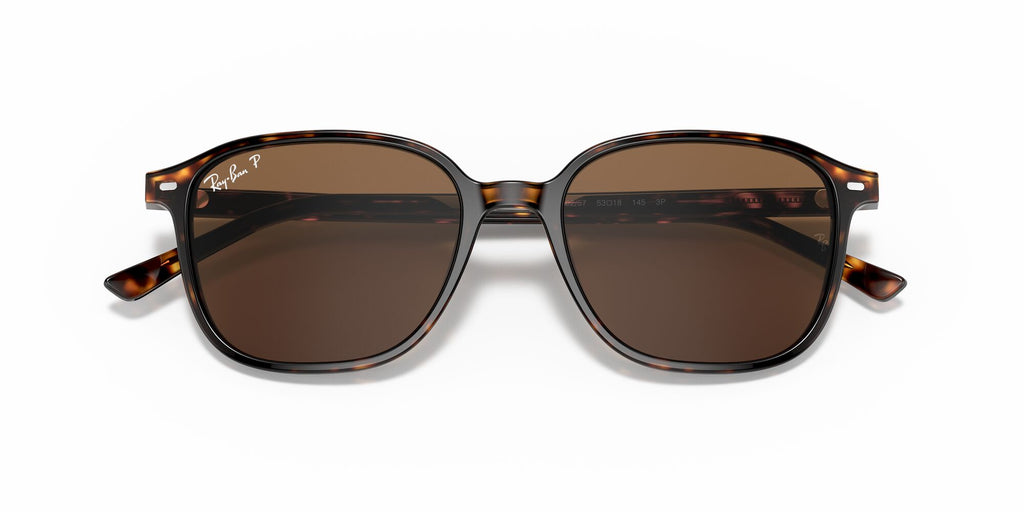 Ray-Ban Leonard 0RB2193 902/57 53 Tortoise/ Brown 53 / Crystal / Acetate / Acetate