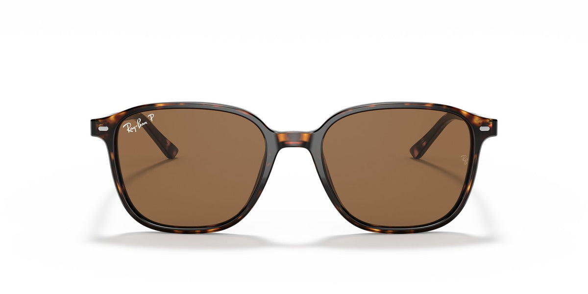 Ray-Ban Leonard 0RB2193 902/57 51 Tortoise/ Brown 51 / Crystal / Acetate / Acetate
