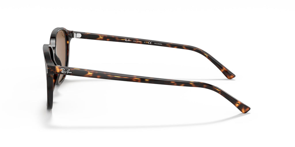 Ray-Ban Leonard 0RB2193 902/57 53 Tortoise/ Brown 53 / Crystal / Acetate / Acetate