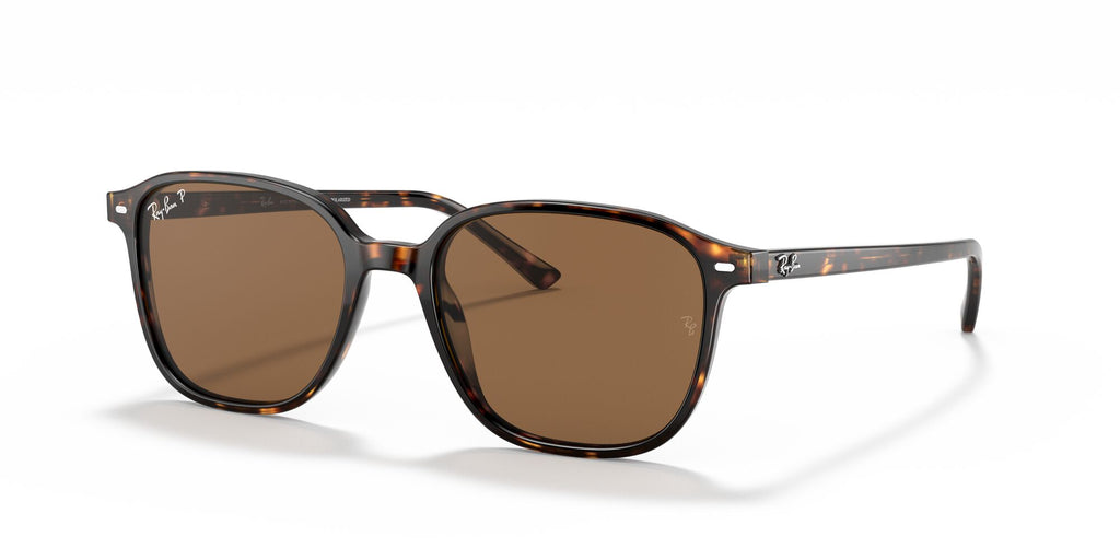 Ray-Ban Leonard 0RB2193 902/57 53 Tortoise/ Brown 53 / Crystal / Acetate / Acetate