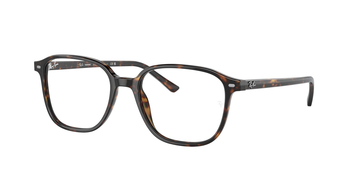 Ray-Ban Leonard 0RB2193 902/GH 51 Havana/ Clear/Grey 51 / Crystal / Acetate / Acetate