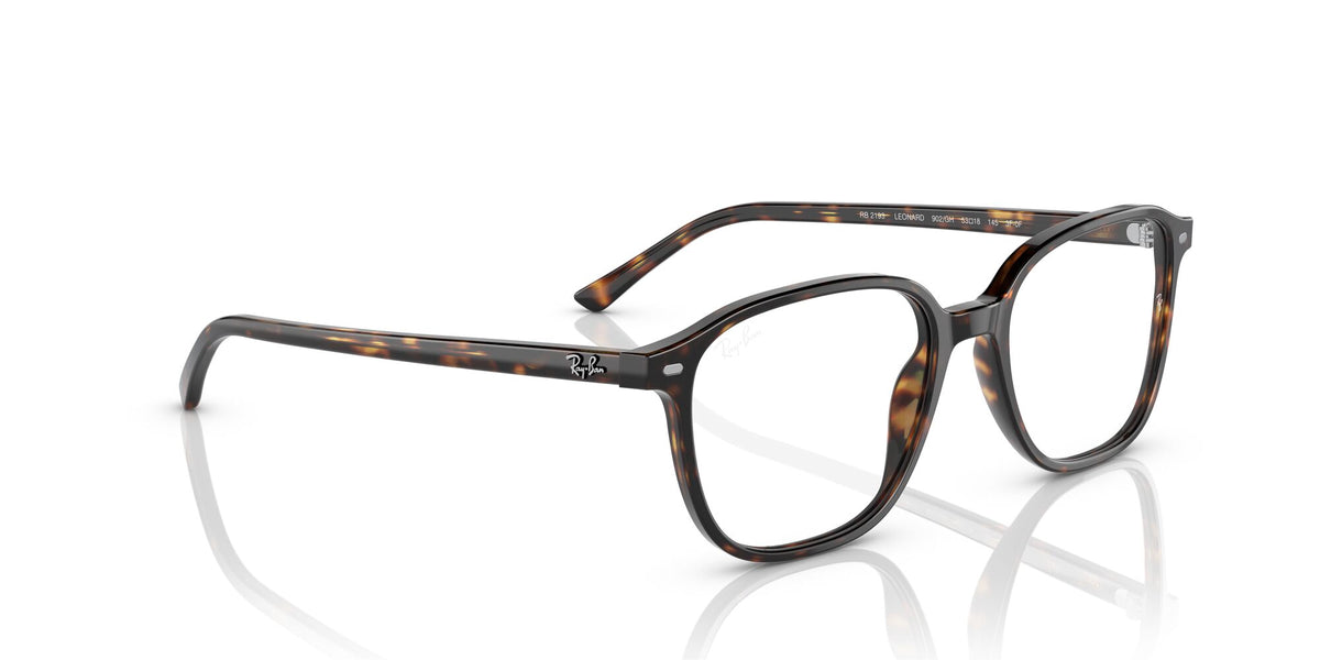 Ray-Ban Leonard 0RB2193 902/GH 51 Havana/ Clear/Grey 51 / Crystal / Acetate / Acetate