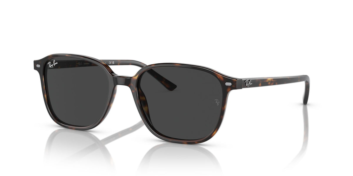 Ray-Ban Leonard 0RB2193 902/GH 51 Havana/ Clear/Grey 51 / Crystal / Acetate / Acetate