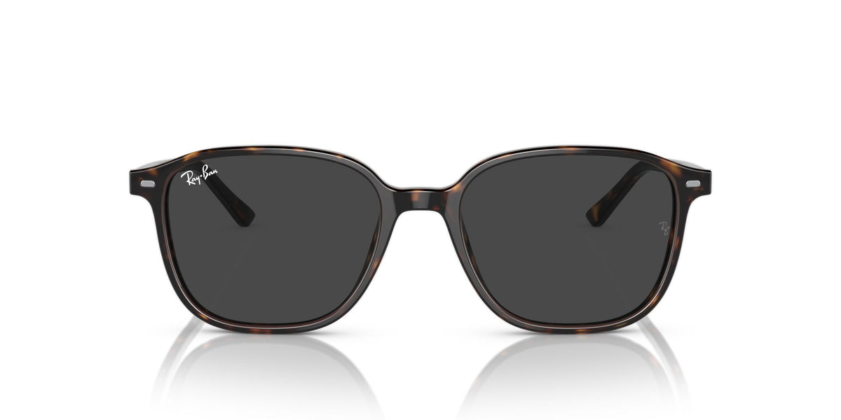 Ray-Ban Leonard 0RB2193 902/GH 51 Havana/ Clear/Grey 51 / Crystal / Acetate / Acetate