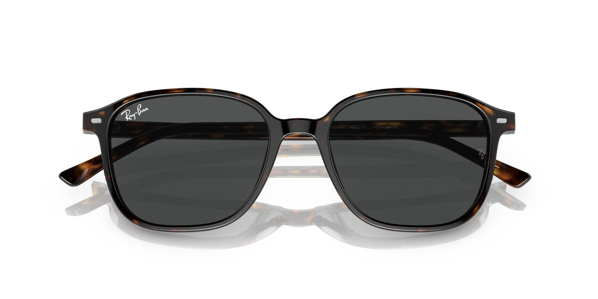 Ray-Ban Leonard 0RB2193 902/GH 51 Havana/ Clear/Grey 51 / Crystal / Acetate / Acetate