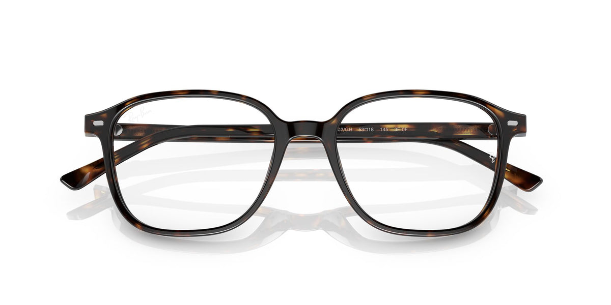 Ray-Ban Leonard 0RB2193 902/GH 51 Havana/ Clear/Grey 51 / Crystal / Acetate / Acetate