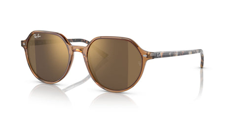 Ray-Ban Thalia 0RB2195 663693 53 Transparent Brown/ Gold