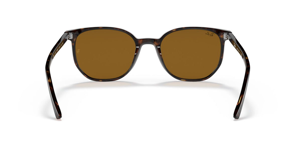 Ray-Ban 0RB2197902/3350 Havana /Brown