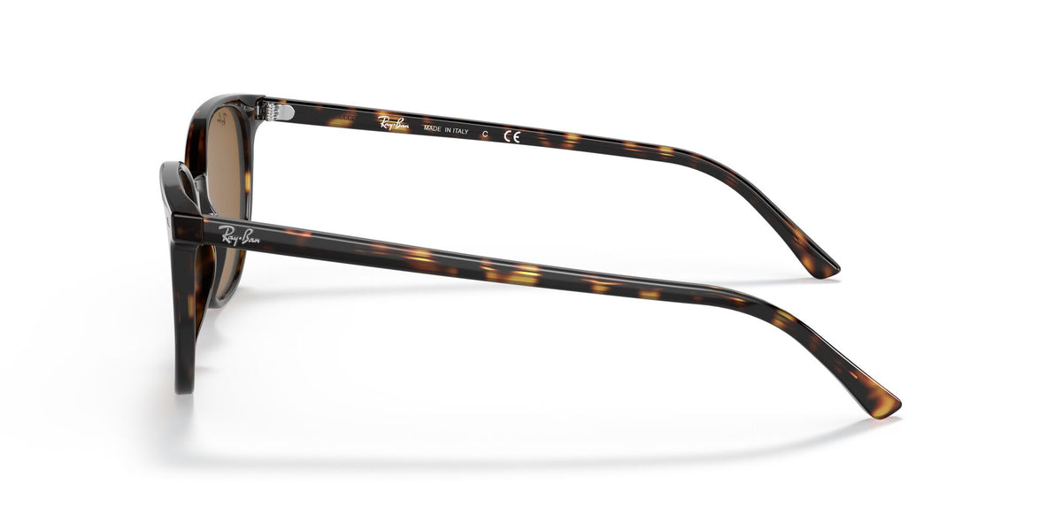 Ray-Ban 0RB2197902/3350 Havana /Brown