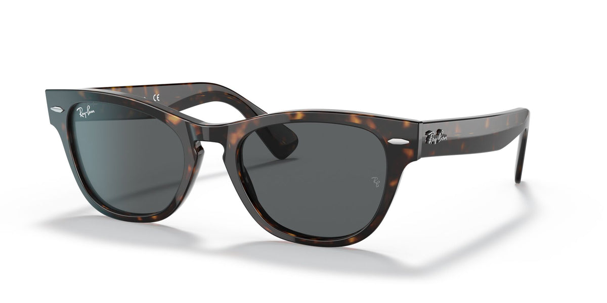 Ray-Ban Laramie 0RB2201 902/B1 54 Tortoise/ Dark Grey