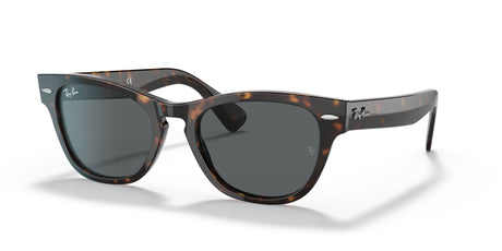 Ray-Ban Laramie 0RB2201 902/B1 54 Tortoise/ Dark Grey