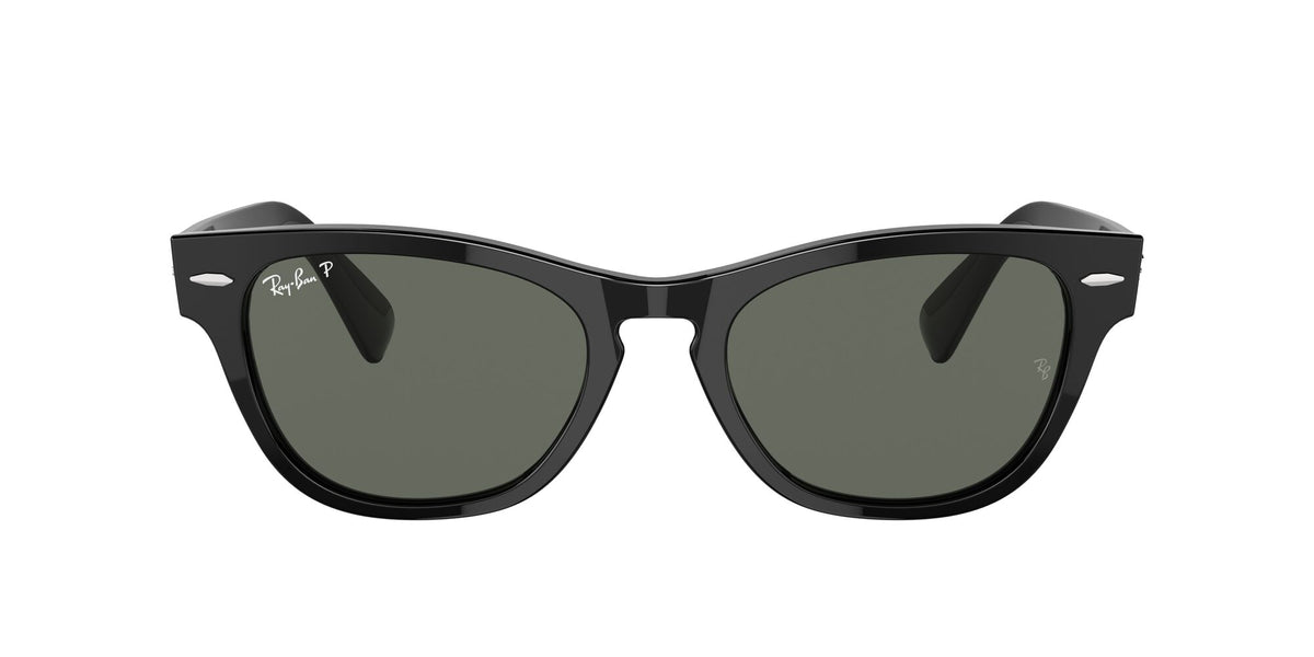 RB 2201 Ray-Ban Laramie Black / Polarised Green Classic G-15 54 54 / Crystal / Acetate / Acetate