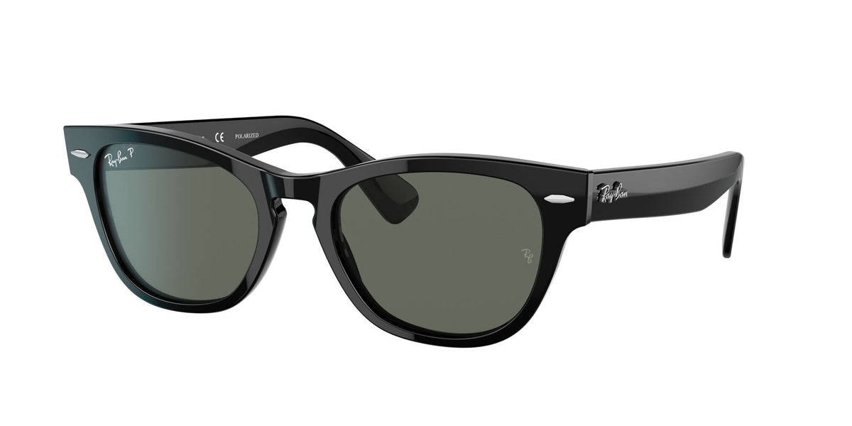 RB 2201 Ray-Ban Laramie Black / Polarised Green Classic G-15 54 54 / Crystal / Acetate / Acetate
