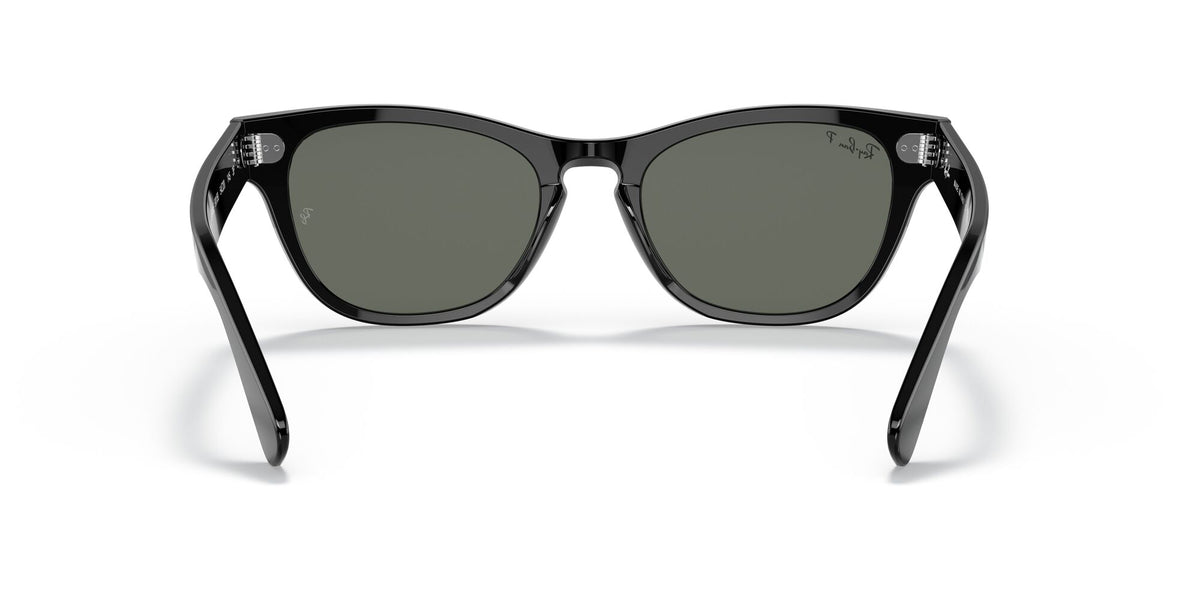 RB 2201 Ray-Ban Laramie Black / Polarised Green Classic G-15 54 54 / Crystal / Acetate / Acetate