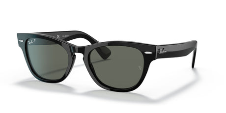 RB 2201 Ray-Ban Laramie Black / Polarised Green Classic G-15 54 54 / Crystal / Acetate / Acetate