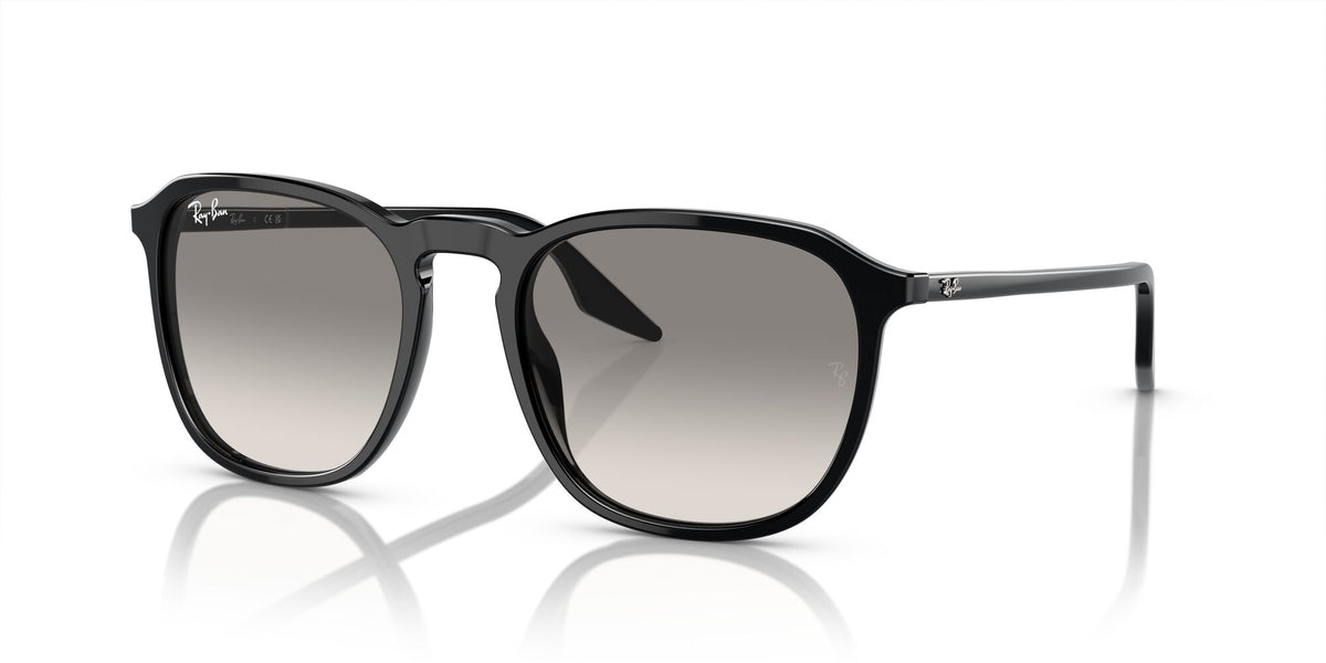 Ray-Ban0RB2203 901/32 52 Black/ Light Grey 52 / Crystal / Acetate / Acetate