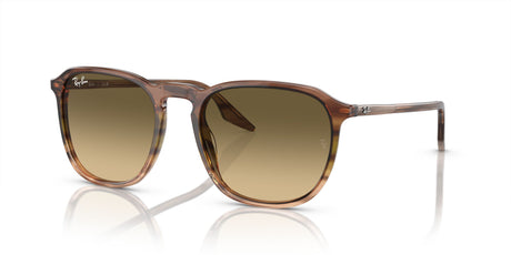 Ray-Ban  0RB2203F 13920A 55 Striped Brown & Green/ Brown Vintage 55 / Crystal / Acetate / Acetate