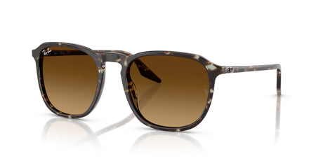 Ray-Ban  RB2203 143185 55 Havana Yellow Tortoiseshell / Gradient Brown