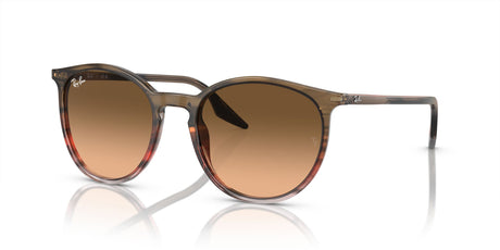 Ray-Ban  0RB2204 13953B 51 Striped Brown & Red/ Pink/Black 51 / Crystal / Acetate / Acetate