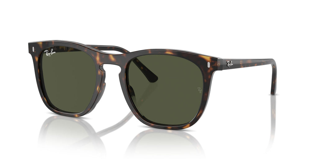 Ray-Ban  0RB2210 902/31 53 Havana/ Green